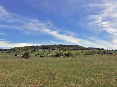 Прикрепленное изображение: DSCF8459.jpg